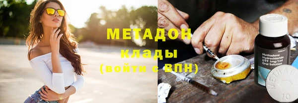 шишки Белокуриха