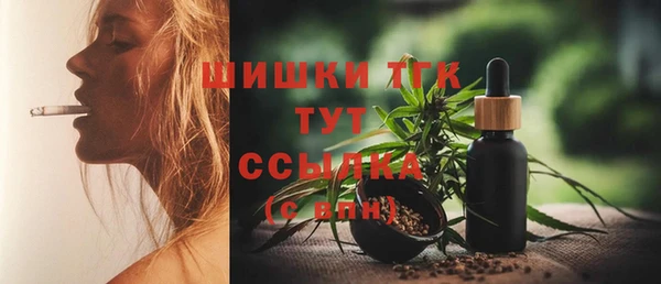 соль ск Богородицк