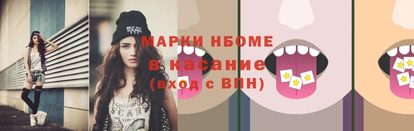 соль ск Богородицк