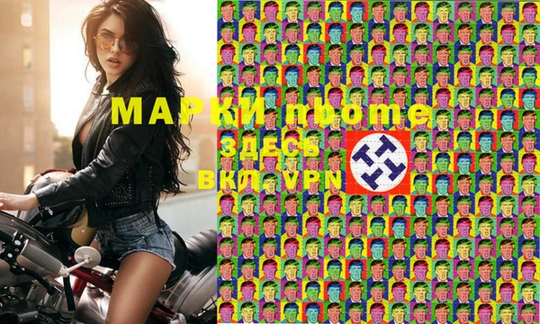 шишки Белокуриха