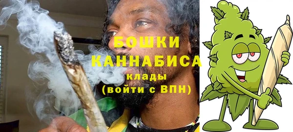шишки Белокуриха