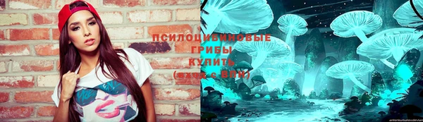 шишки Белокуриха