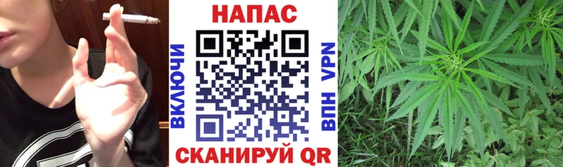 купить наркотик Александровское Марихуана SATIVA & INDICA
